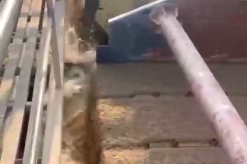 恭祝水洗砂生產(chǎn)線開工大吉，采用多臺豫特科技3061高效脫水篩